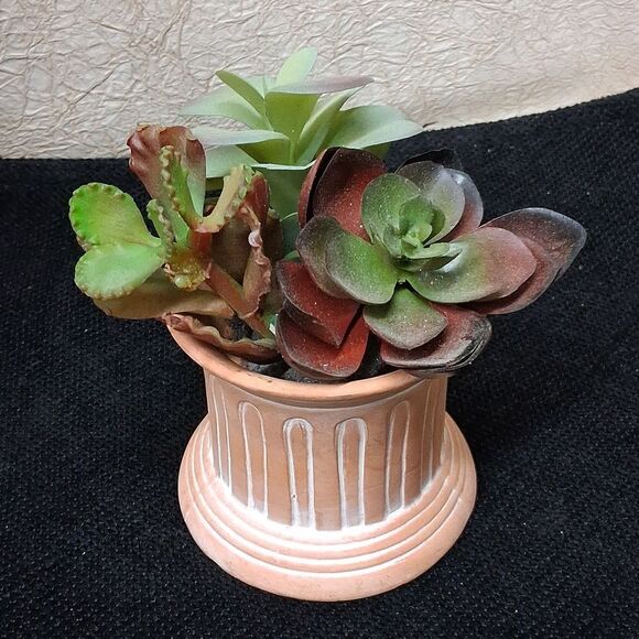 Decorative Succulent Planters with Colorful Leaves - Picture 6 of 9
